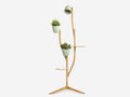 Branch-Out - Deluxe