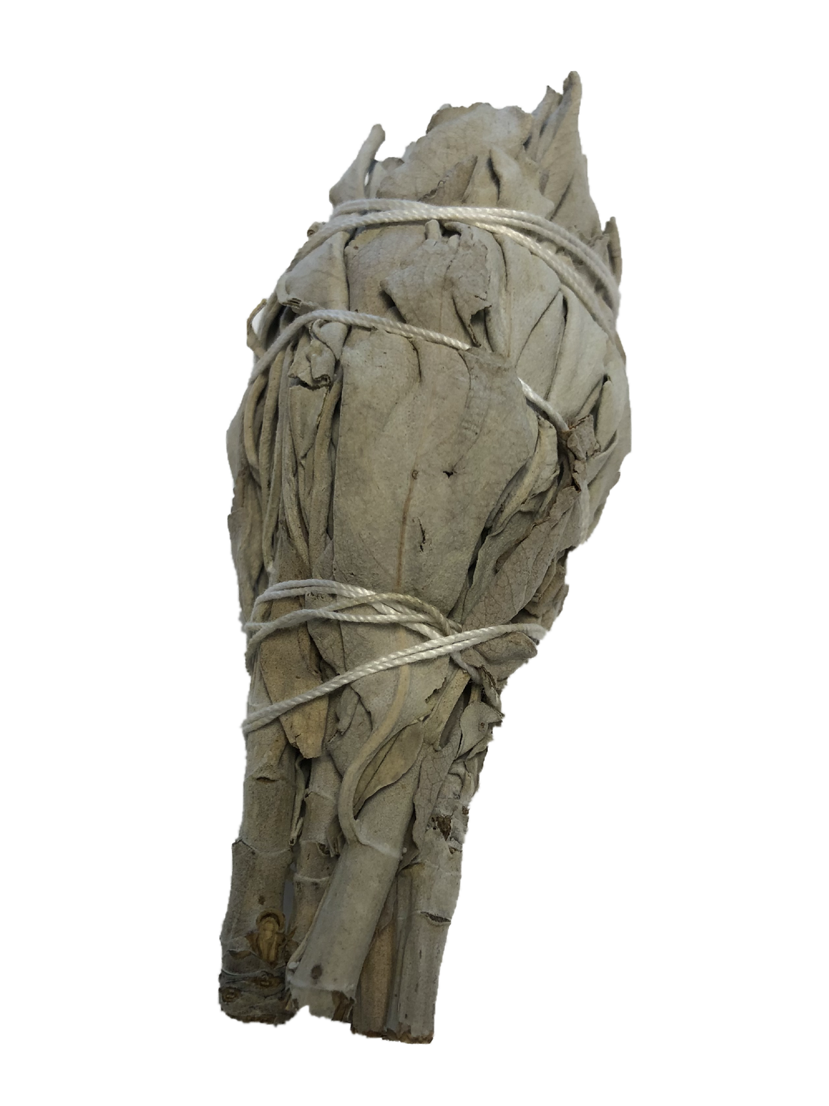 Smudge Stick di Salvia Bianca Naturale per Purificazione